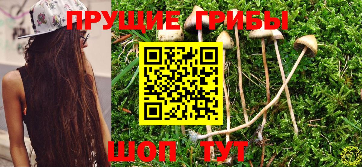 Галлюциногенные грибы мицелий Алатырь