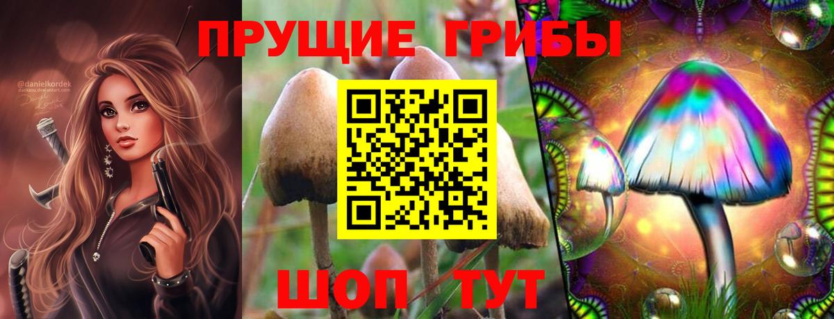 Псилоцибиновые грибы Psilocybe  Вход с VPN  Алатырь 